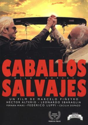 Caballos Salvajes (1995) poster